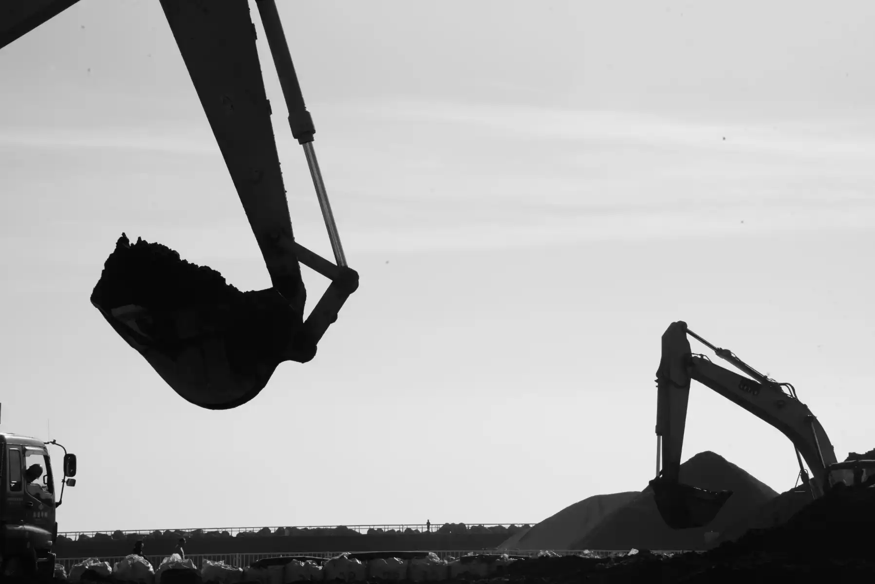 gruas blanco y negro